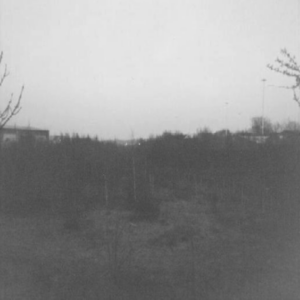 And May You Burn (2006)